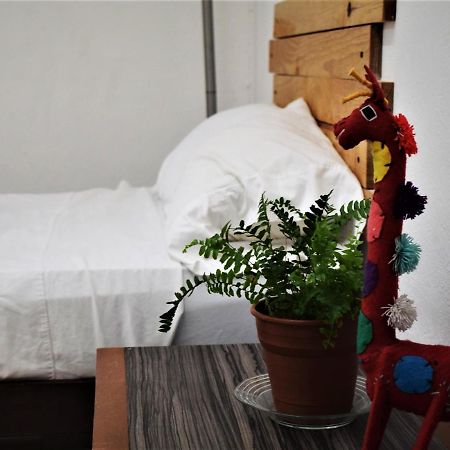 Hostal Casa Bohemia Mérida Dış mekan fotoğraf