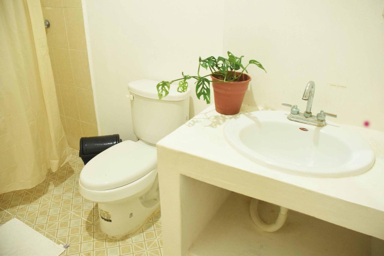 Hostal Casa Bohemia Mérida Dış mekan fotoğraf