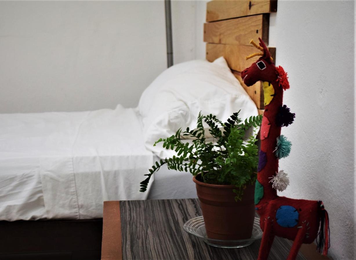 Hostal Casa Bohemia Mérida Dış mekan fotoğraf